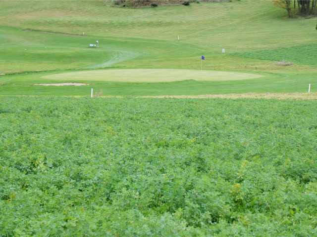 Mondovi Land Real Estate