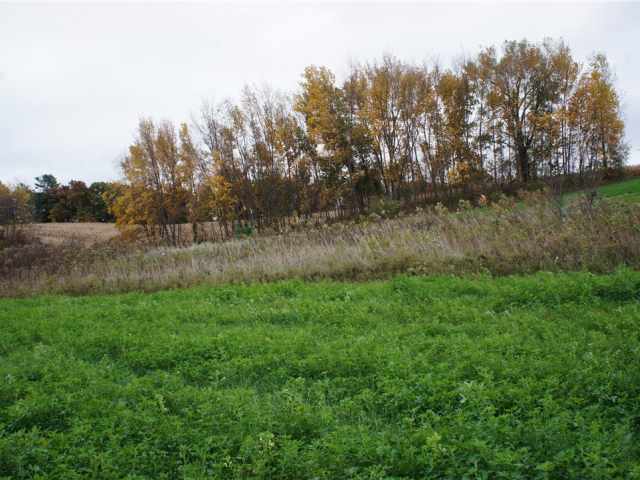 Mondovi Land Real Estate