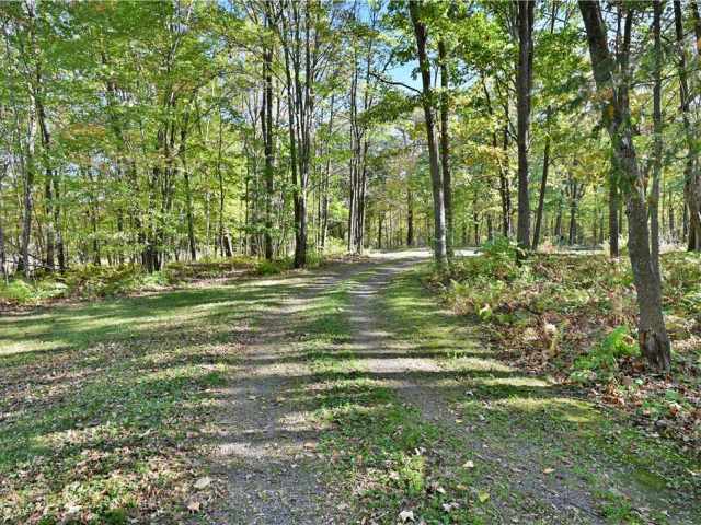 Trego Residential Real Estate