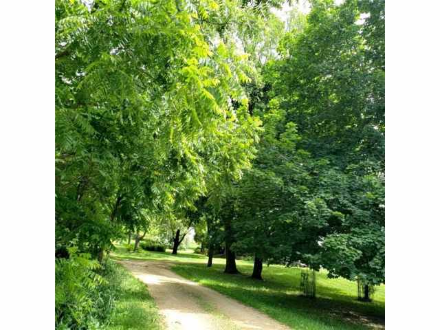 Menomonie Residential Real Estate