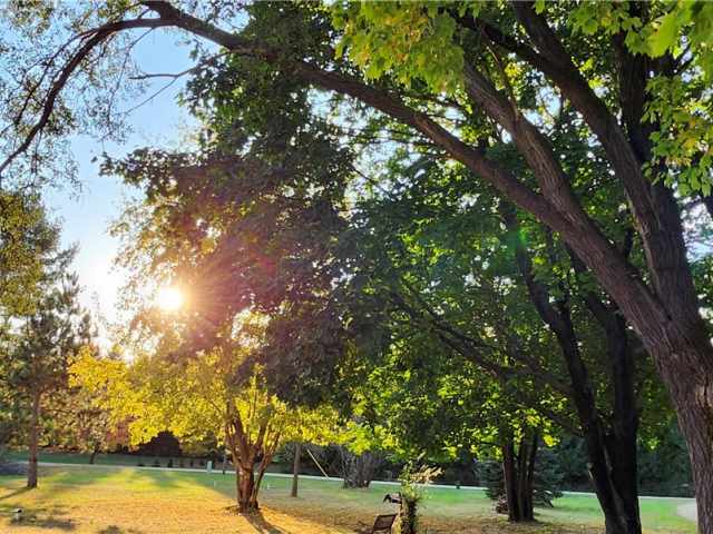 Menomonie Residential Real Estate