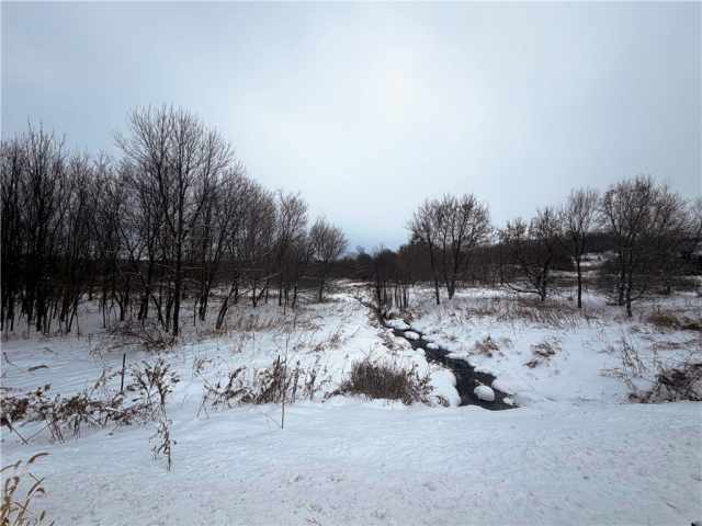 Glenwood City Land Real Estate