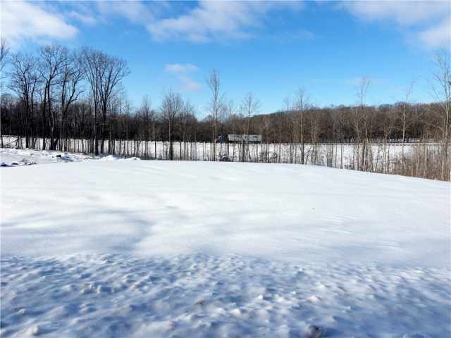 Rice Lake Land Real Estate