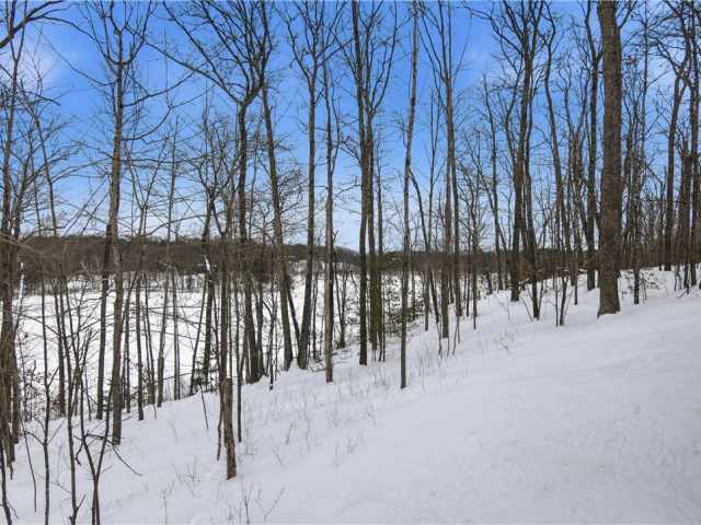 Hayward Residential Real Estate