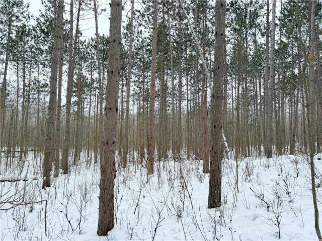 Rice Lake Land Real Estate