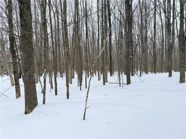 Rice Lake Land Real Estate