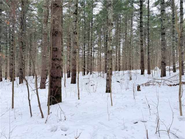 Rice Lake Land Real Estate