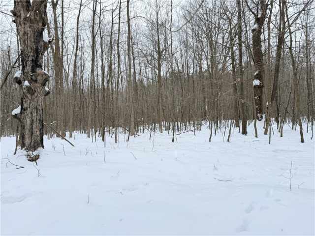 Rice Lake Land Real Estate