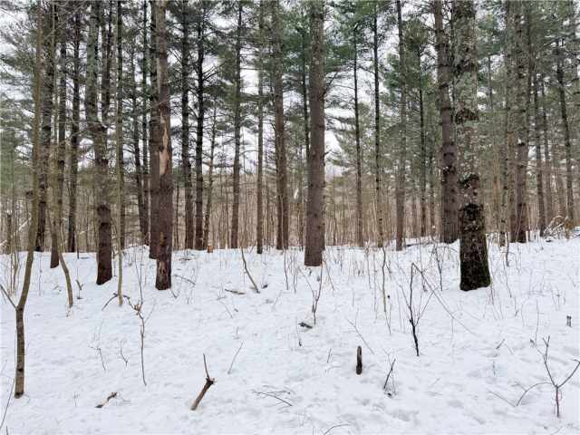 Rice Lake Land Real Estate