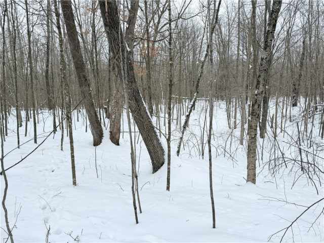 Rice Lake Land Real Estate