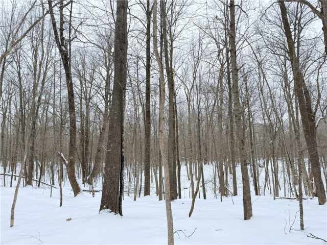 Rice Lake Land Real Estate