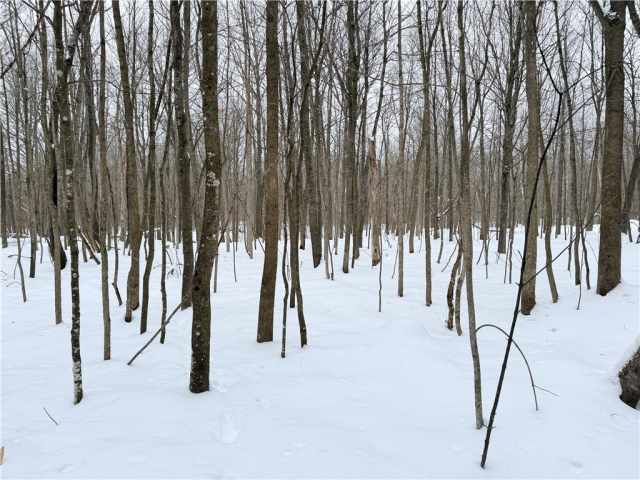 Rice Lake Land Real Estate