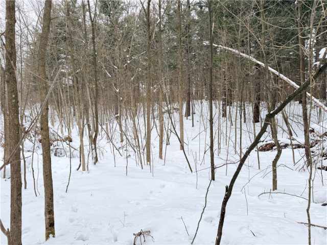 Rice Lake Land Real Estate