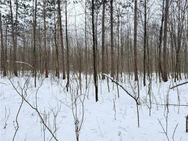 Rice Lake Land Real Estate