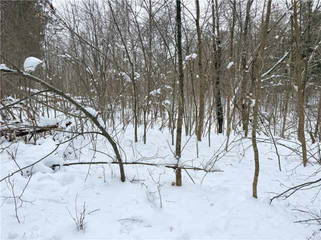 Rice Lake Land Real Estate