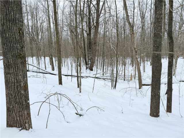 Rice Lake Land Real Estate