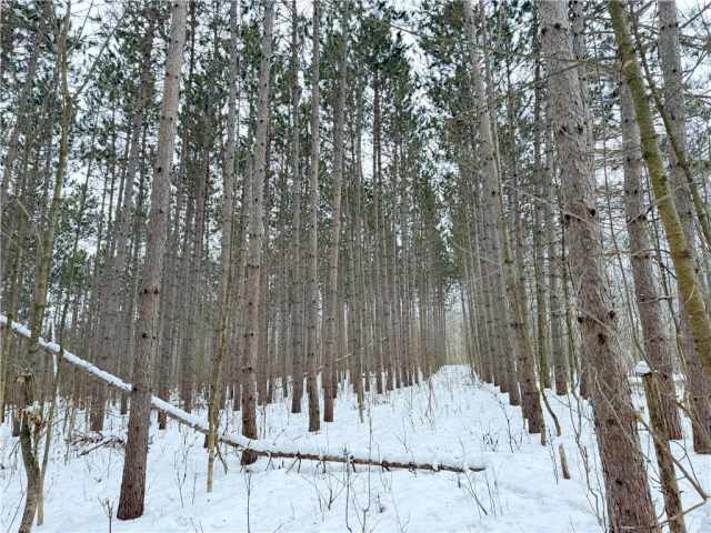 Rice Lake Land Real Estate