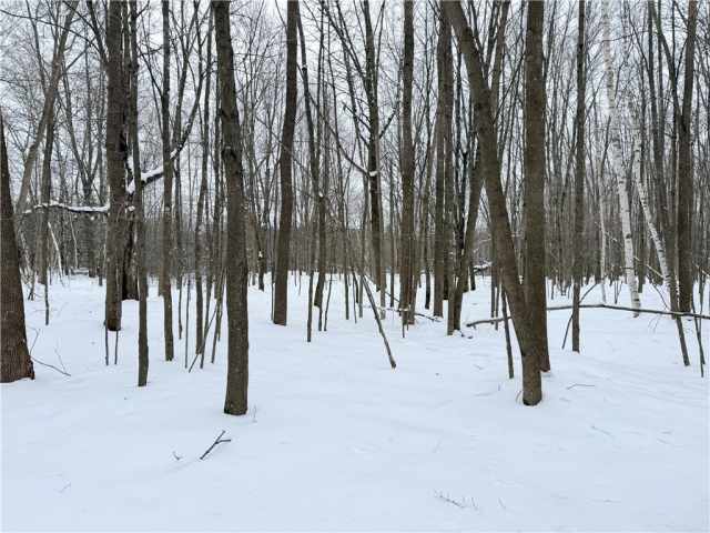 Rice Lake Land Real Estate