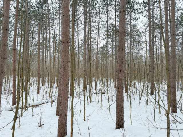 Rice Lake Land Real Estate