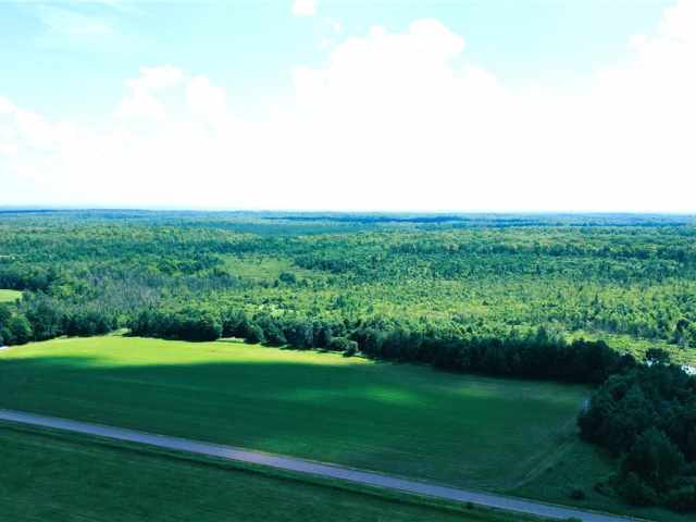 Sheldon Residential Real Estate