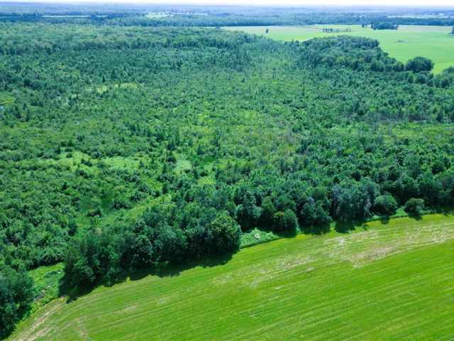 Sheldon Residential Real Estate