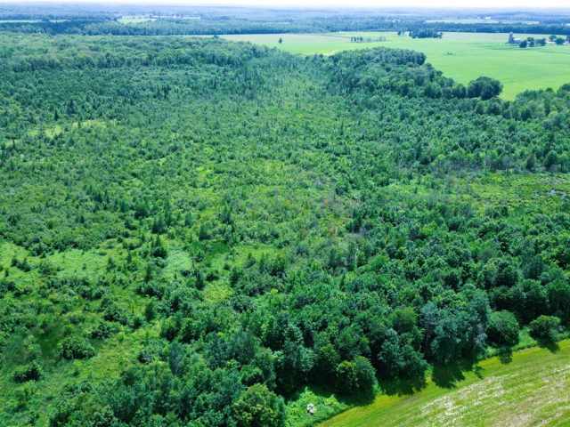 Sheldon Residential Real Estate