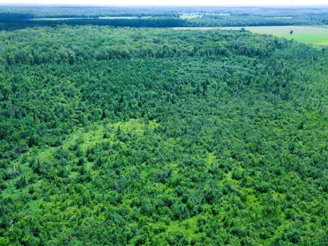 Sheldon Residential Real Estate