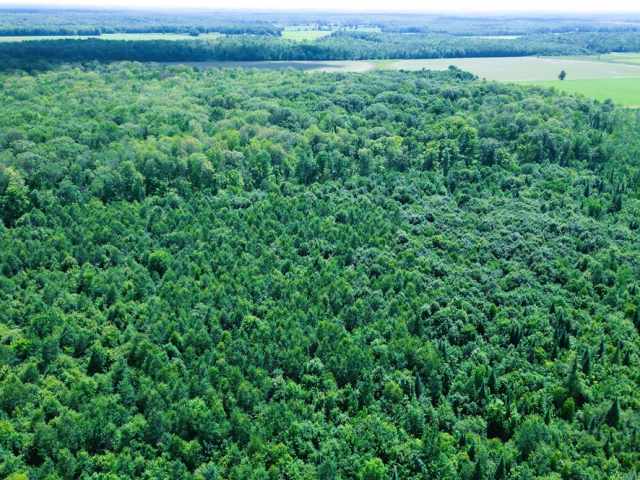 Sheldon Residential Real Estate