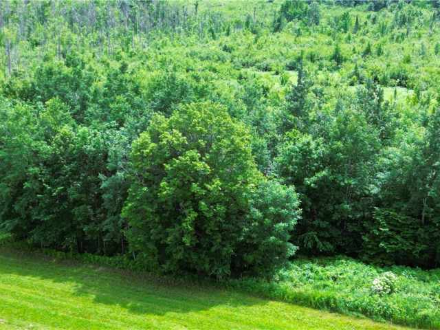 Sheldon Residential Real Estate