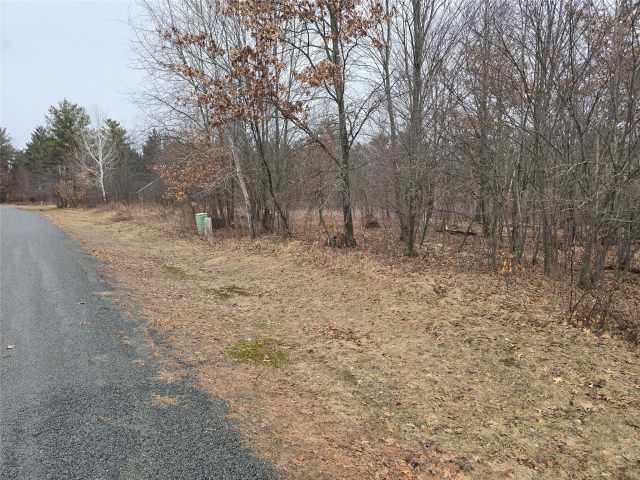 Cameron Land Real Estate