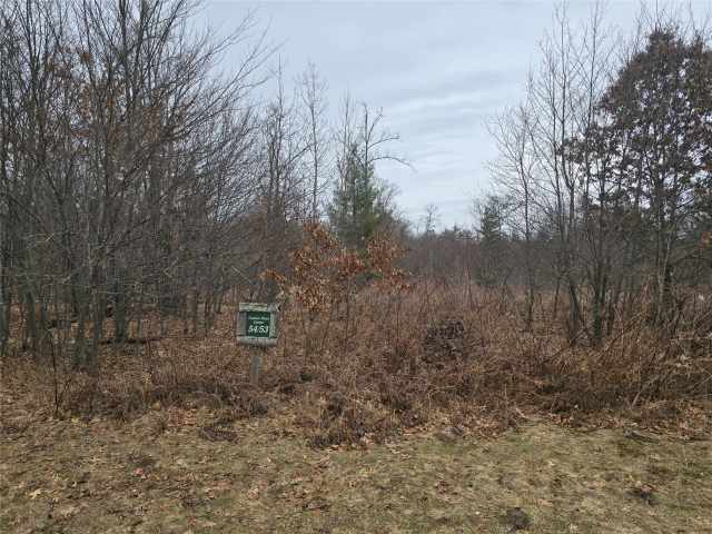 Cameron Land Real Estate