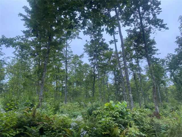 Loretta Land Real Estate