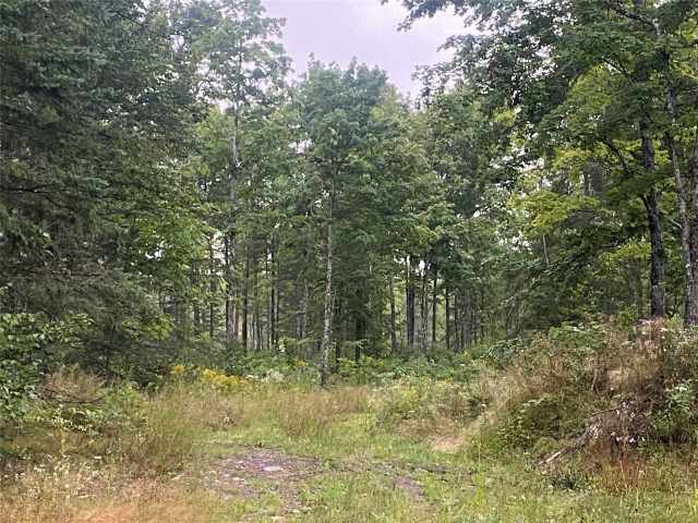 Loretta Land Real Estate