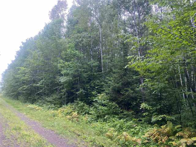 Loretta Land Real Estate