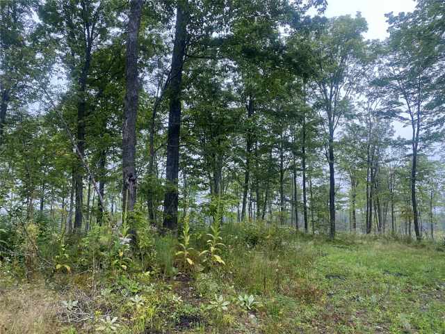 Loretta Land Real Estate