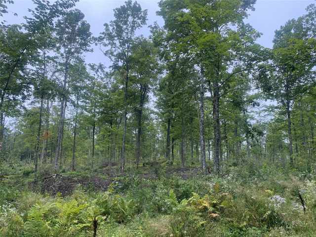 Loretta Land Real Estate