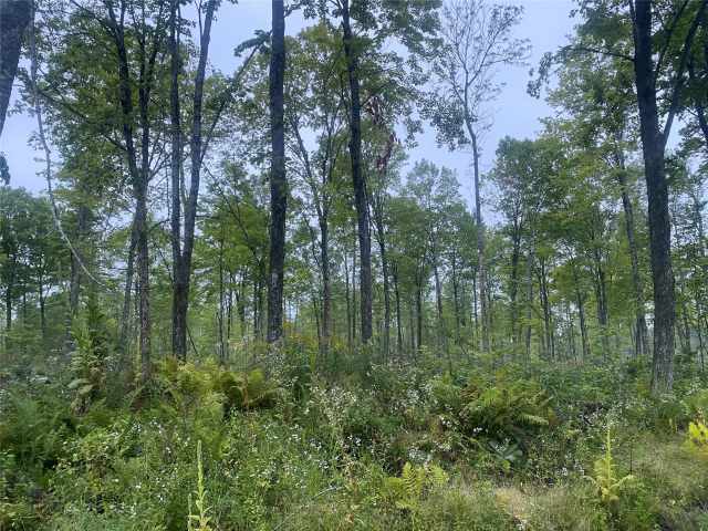 Loretta Land Real Estate