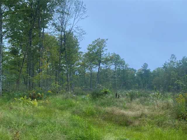 Loretta Land Real Estate