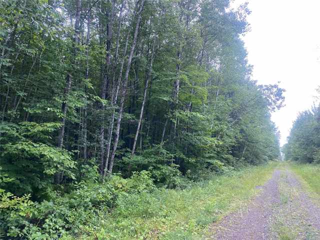 Loretta Land Real Estate