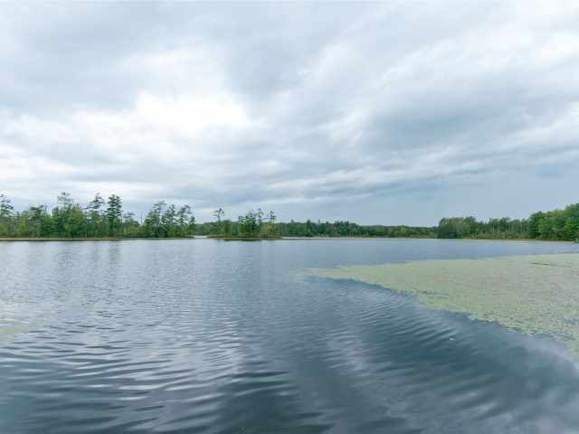 Weyerhaeuser Residential Real Estate