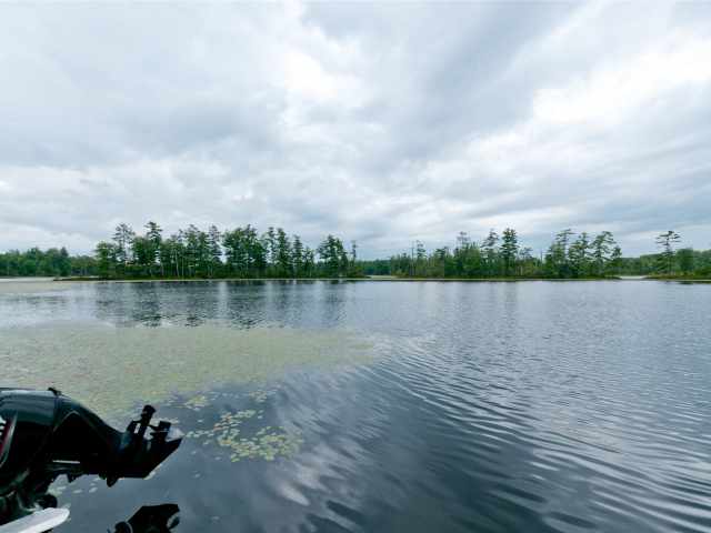 Weyerhaeuser Residential Real Estate