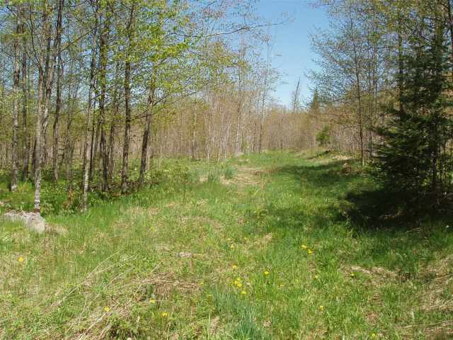 Glidden Land Real Estate