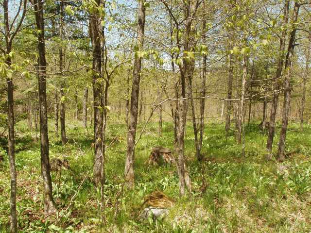 Glidden Land Real Estate