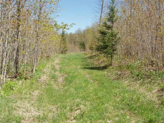 Glidden Land Real Estate