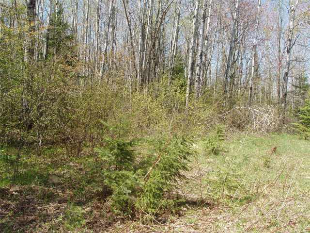 Glidden Land Real Estate