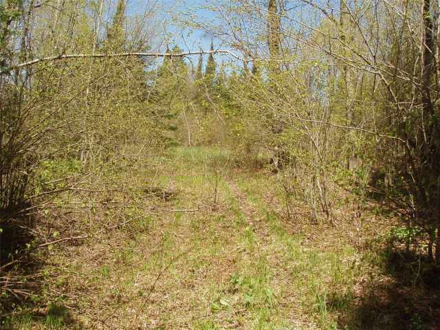 Glidden Land Real Estate