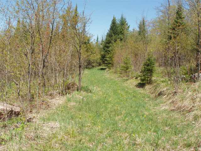 Glidden Land Real Estate