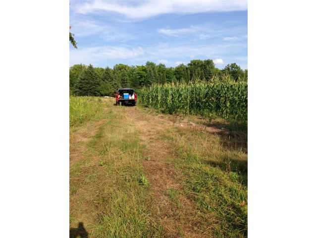 Glidden Land Real Estate