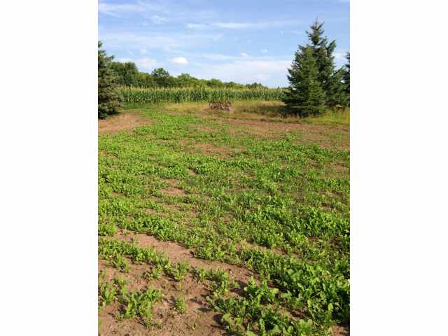 Glidden Land Real Estate