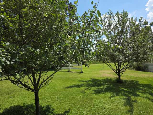 Barron Farm Real Estate